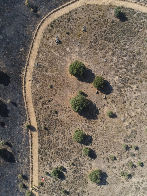 Foto dron