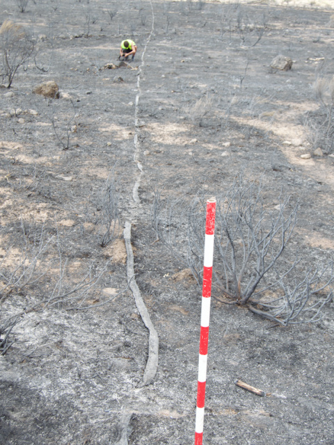 Manguera abandonada durante extinción 