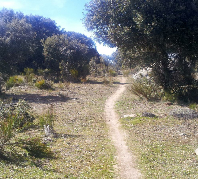 Sendero #11. Chamartín - Altamiros