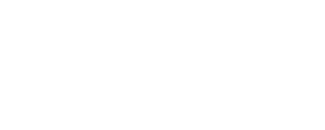 logo terraLevis